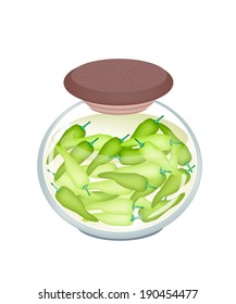 Illustration of Delicious Pickled Green Sweet Pepper in Vinegar, Sugar, Salt and Condiment in A Glass Jar Isolated on White Background. 