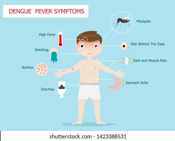 illustration of dengue fever symptoms infographics vector background
