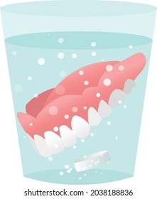 
Illustration of denture cleaner (full denture)