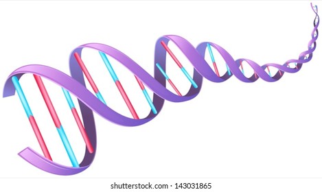 Illustration of the deoxyribonucleic acid