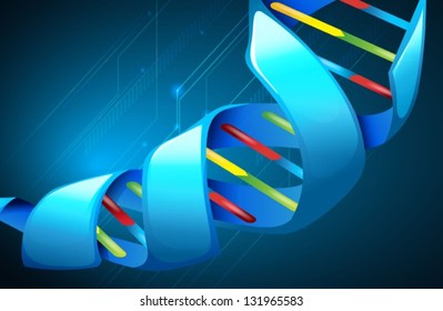 Illustration of Deoxyribonucleic acid structure