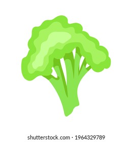Illustration depicting broccoli in a flat design. Vector graphics.