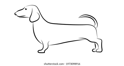 Illustration depicting a dachshund. Dog in sketch style. Vector thin line icon.