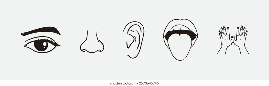 Illustration depicting the five human senses represented by an eye, nose, ear, mouth, and hands. Perfect for educational, medical, or sensory-themed designs focusing on understanding human sensory fun