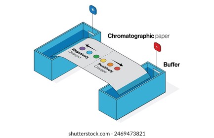 Illustration depicting the Paper chromatography technique for scientific analysis in molecular biology.