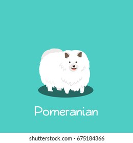 An illustration depicting Pomeranian dog on turquoise background