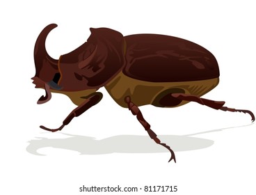 Illustration depicting a rhinoceros beetle on white background