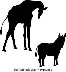 illustration depicting the silhouettes of a giraffe and zebra