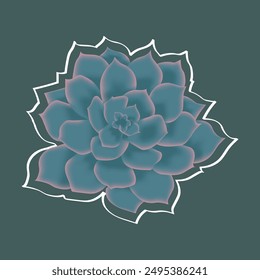 Illustration depicting a stone rose flower (succulent) in a minimalist style on a green background