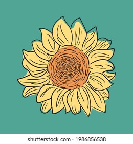 Ilustración que representa un girasol. Ilustración vectorial coloreada.