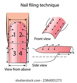 Illustration depicting the technique of filing nails for manicure in three types in vector