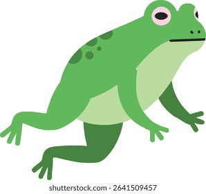 Illustration depicts a green frog with distinctive spots and limb details in a natural pose. The image uses simple colors and clear lines for a clean look. Calm and natural mood.