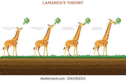 An illustration depicts Lamarck's theory, showing a giraffe's neck growing longer over generations to reach high leaves, emphasizing adaptation through use and need.