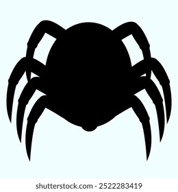 The illustration depicts a large black spider in a black style. The illustration is well suited for printing on a T-shirt, souvenirs