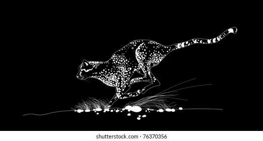 The illustration depicts a leopard. He jumps. He hunts Leopard is depicted in the motion
