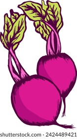 The illustration depicts a vibrant beetroot, showcasing its rich colors and unique shape.
