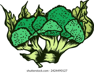The illustration depicts a vibrant head of broccoli, showcasing its rich green color and distinctive florets.