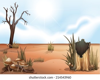 Illustration of a desert