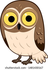 Illustration of a Desert Elf Owl Animal