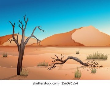 Illustration of a desert scene