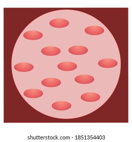 The illustration and design of  abstract circle