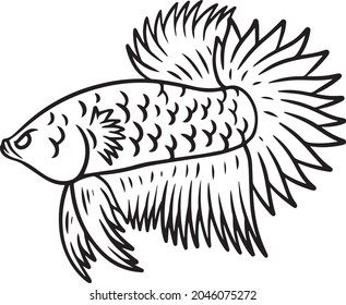 illustration design of betta fish