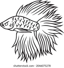 illustration design of betta fish