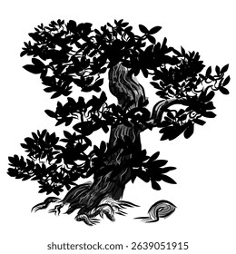 Illustration design of a bonsai tree that shows it is very old in the wild