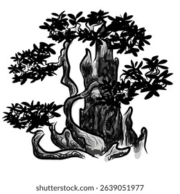 Illustration design of a bonsai tree that shows it is very old in the wild
