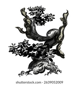 Illustration design of a bonsai tree that shows it is very old in the wild
