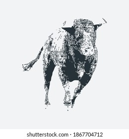 illustration design of bull. bull engraving style. hand drawn, vintage illustration, illustration design of bull isolated.