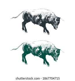 illustration design of bull. bull engraving style. hand drawn, vintage illustration, illustration design of bull isolated.