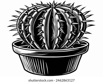 Illustration design of cactus plant 