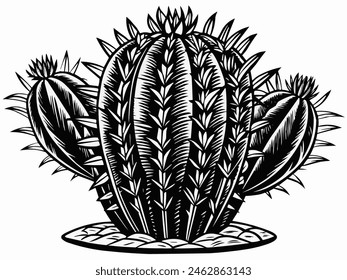 Illustration design of cactus plant 