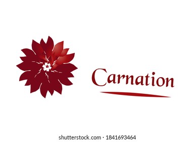 The illustration and design of carnation flower