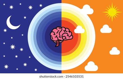 Ritmos circadianos y ciclos de sueño-vigilia: cómo la exposición a la luz solar regula la secreción de melatonina en el cerebro humano y los procesos corporales