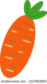 illustration design graphic carot vector. fit for children book, cartoon book, flash card.