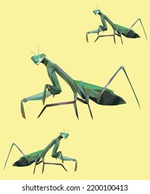 illustration design graphic of mantis in geometric. perfect for design