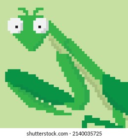 diseño de ilustración gráfico de mantis en píxeles perfecto para diseño y papel tapiz