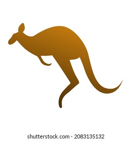 illustration design kangaroo animal vector