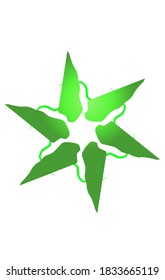 The illustration and Design of light and star