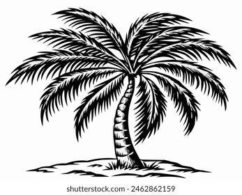 Illustration design of palm tree 
