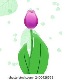 Illustration design of purple tulips with long flower stalks.