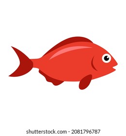 illustration design red fish vector