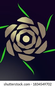 The illustration and design of rose