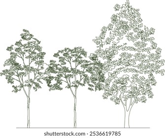 Imagen completa del Vector de las plantas y de los árboles en los parques y los bosques para enverdecer en la metrópoli