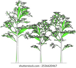 Imagen completa del Vector de las plantas y de los árboles en los parques y los bosques para enverdecer en la metrópoli