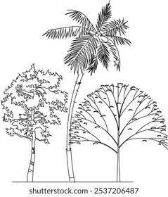 Imagen completa del Vector de las plantas y de los árboles en los parques y los bosques para enverdecer en la metrópoli