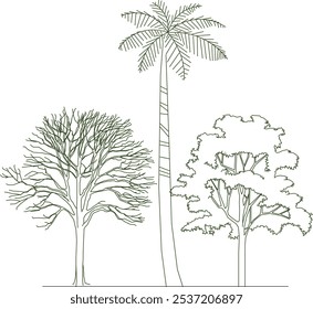 illustration design sketch complete vector image of plants and trees in parks and forests for greening in metropolis