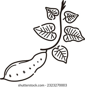 Illustration design of sweet potato with leaves (line drawing)